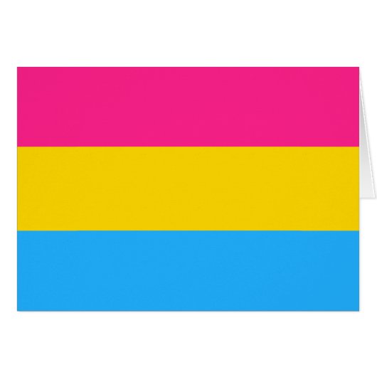 Pansexual Pride Flag LGBTQ (Voorkant Horizontaal)
