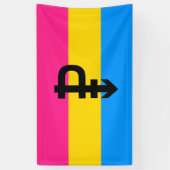 Pansexual Pride Flag Spandoek (Verticaal)