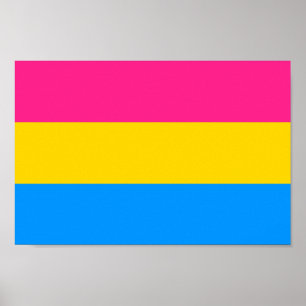 Pansexuele Pride Kleuren Poster