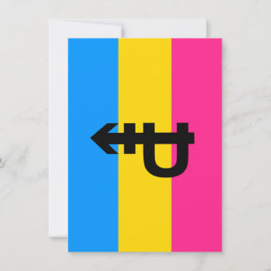 Pansexuele Pride-vlag Feestdagenkaart