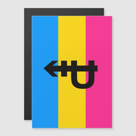 Pansexuele Pridevlag Magnetische Uitnodiging (Voorkant / Achterkant)