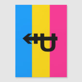 Pansexuele Pridevlag Magnetische Uitnodiging (Voorkant)