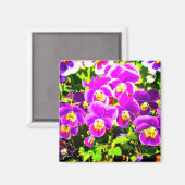 Pansies_2006_Magneet Magneet (Voorkant / Achterkant)