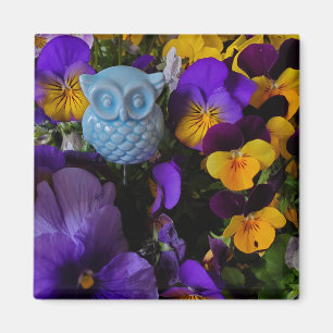 Pansies avec aimant pour hibou
