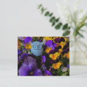 Pansies avec carte postale hibou (Debout devant)