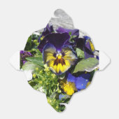 PANSIES! BEDANKDOOSJES (Uitgevouwen)