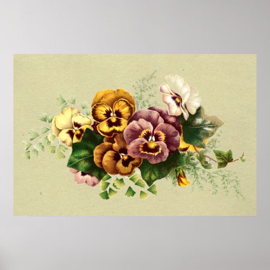  Pansies Bouquet Poster (Voorkant)