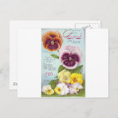  Pansies Briefkaart (Voorkant / Achterkant)