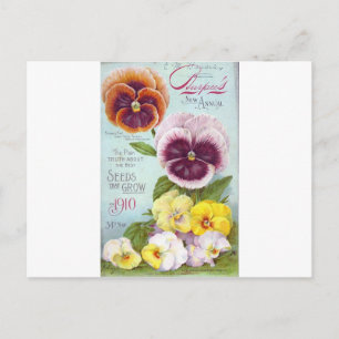 Pansies Briefkaart