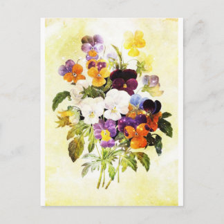 Pansies Briefkaart