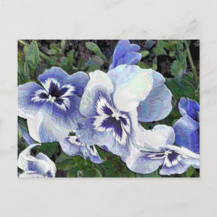 PANSIES BRIEFKAART