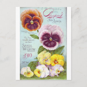 Pansies Briefkaart