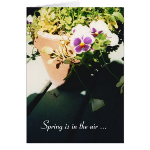 Pansies de ressort pointillé