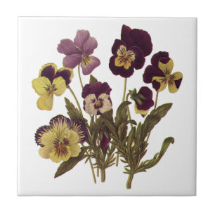  Pansies in Bloom, Floral Garden Flowers Tegeltje