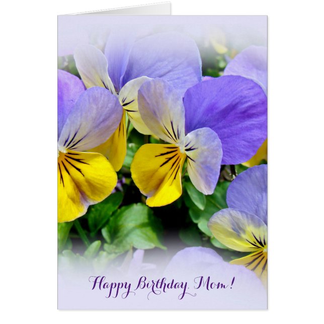 Pansies jaune et violet (Devant)