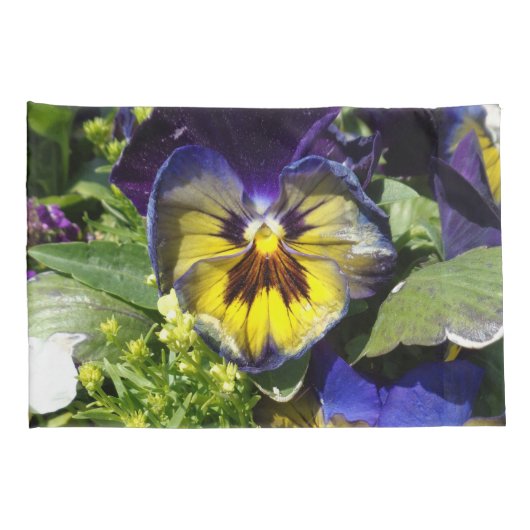 PANSIES! KUSSENSLOOP (Achterkant-Rechts)