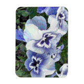 PANSIES MAGNEET (Verticaal)