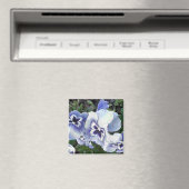 PANSIES MAGNEET (Insitu (Vaatwasser))