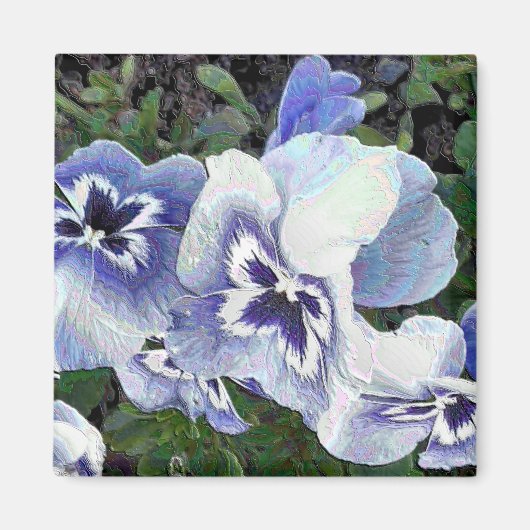 PANSIES MAGNEET (Voorkant)