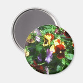 Pansies Magneet (Voorkant / Achterkant)