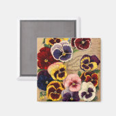 Pansies Magnets de paquets de semences (Recto/Verso)