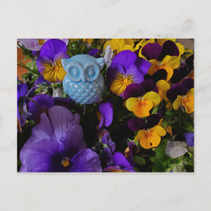 Pansies met uil briefkaart