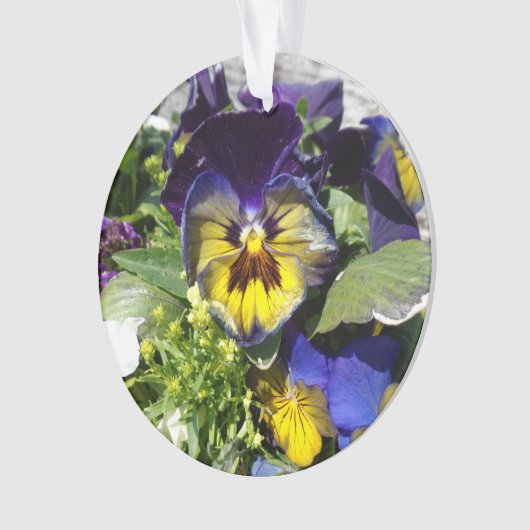 PANSIES! ORNAMENT (voorkant)