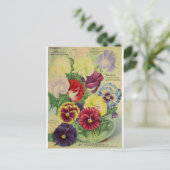 Pansies Pansy Fleur Botanique Vintage Carte postal (Debout devant)