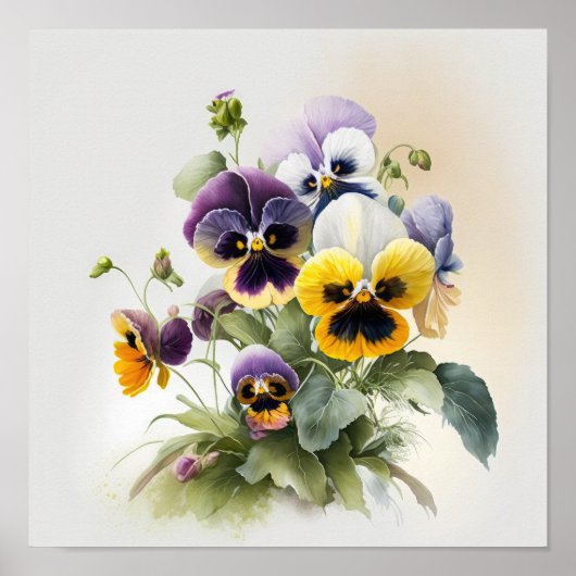 Pansies Pansy Flower Art Imprimer Poster (Devant)