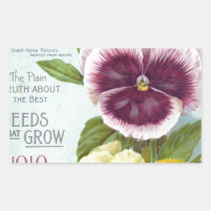 Pansies Rechthoekige Sticker