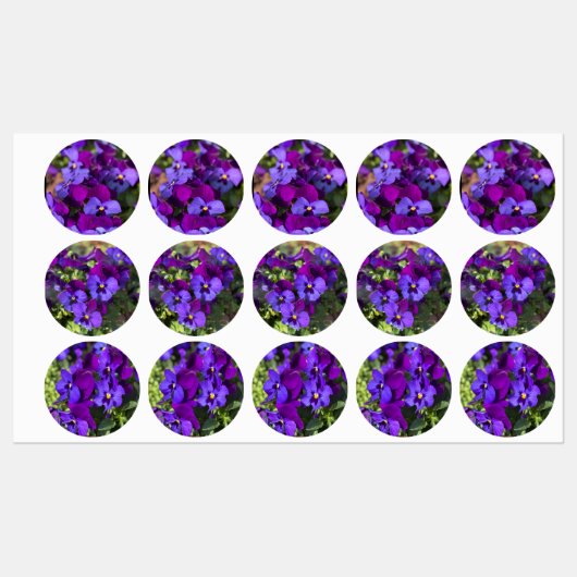 Pansies Return Address Labels (Vel)