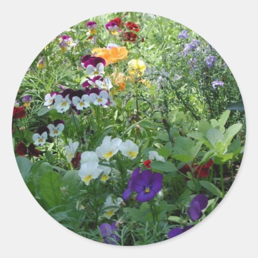 Pansies Ronde Sticker (Voorkant)