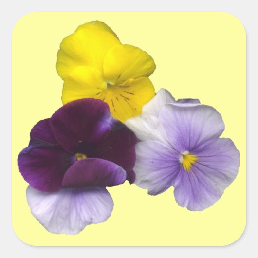 Pansies Stickers (Voorkant)