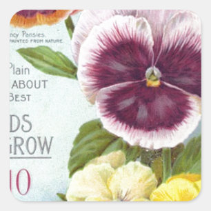 Pansies Vierkante Sticker