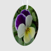 Pansies violettes (devant)