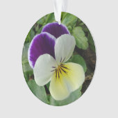 Pansies violettes (devant)