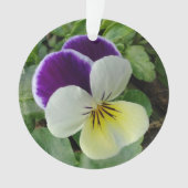 Pansies violettes (devant)