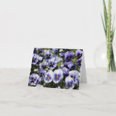 Pansies violettes (Devant)