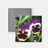 Pansies violettes - Aimant (Recto/Verso)
