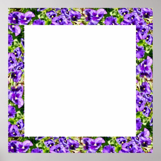 Pansies violettes Cadre photo, Poster (Devant)