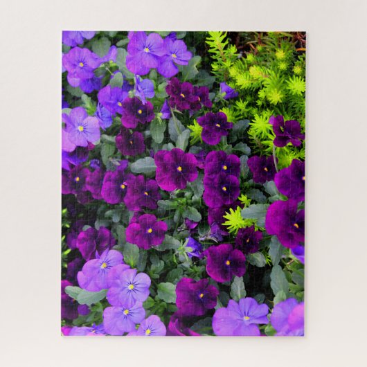 Pansies violettes Puzzle (Vertical)