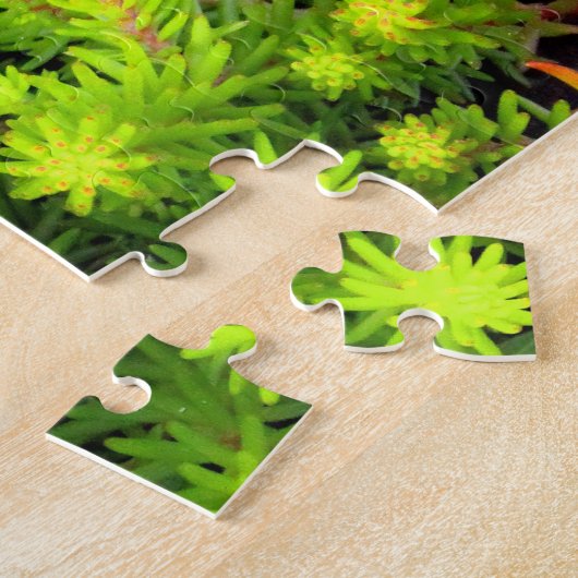 Pansies violettes Puzzle (Côté)