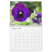 Pansies voor het jaar 2016: kalender-aangepast kalender (Feb 2026)