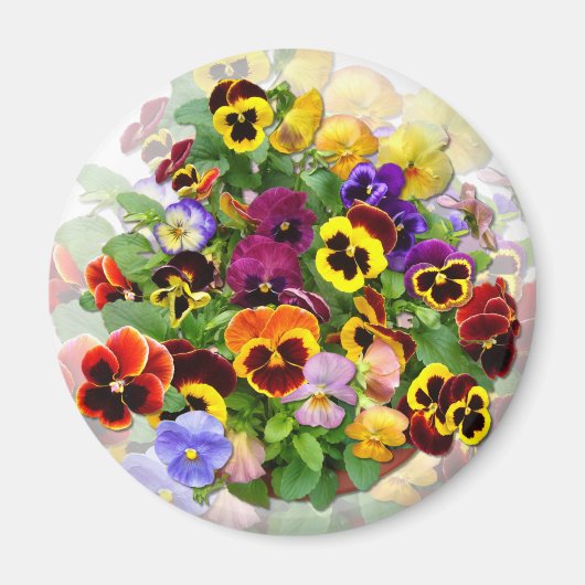 PANSY BEAUTY ~ Magnet Magneet (Voorkant)