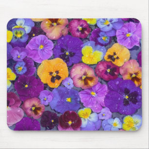 Pansy bloemen die drijven in een vogelbad met dauw muismat