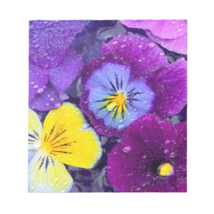 Pansy bloemen die drijven in een vogelbad met dauw notitieblok