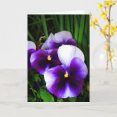 Pansy bloemen - Kaart (Gele Bloem)