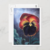 Pansy briefkaart (Voorkant / Achterkant)