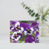Pansy Briefkaart (Staand voorkant)