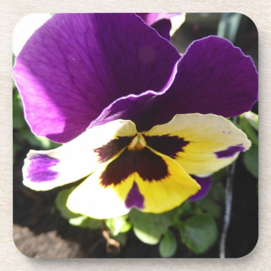 Pansy cork onderzetter (Voorkant)